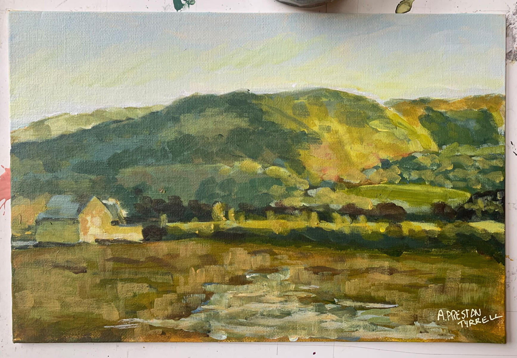 Porlock Salt Marshes